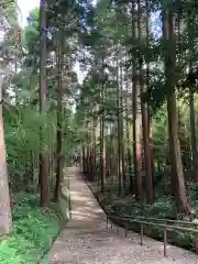 松尾神社の建物その他