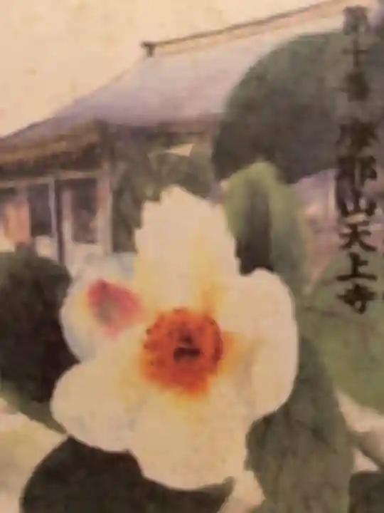 忉利天上寺(兵庫県)