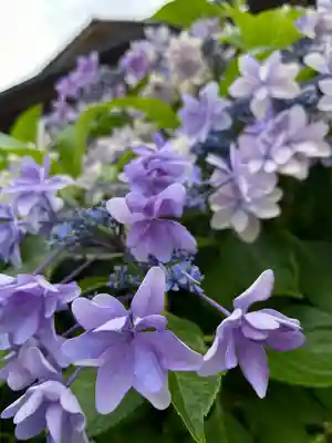 日吉神社(東京都)