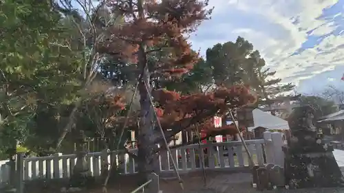 出雲大神宮(京都府)