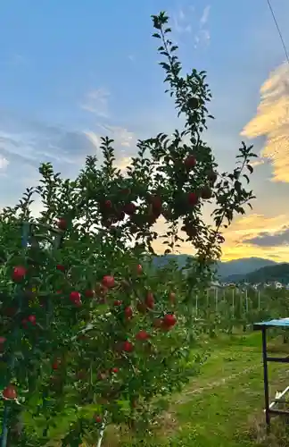 蚊里田八幡宮(長野県)