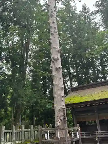 諏訪大社下社春宮(長野県)