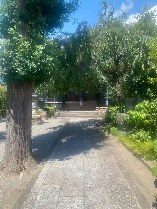 大蔵院(群馬県)