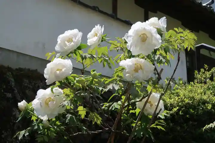 長谷寺(奈良県)