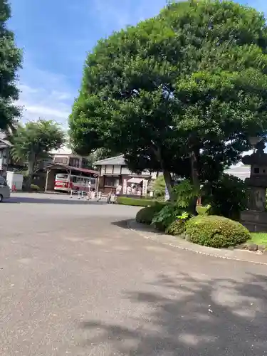 寛永寺(根本中堂)(東京都)