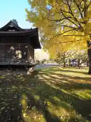 岩内神社の建物その他