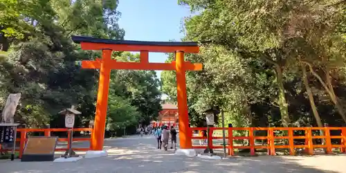 賀茂御祖神社（下鴨神社）の鳥居