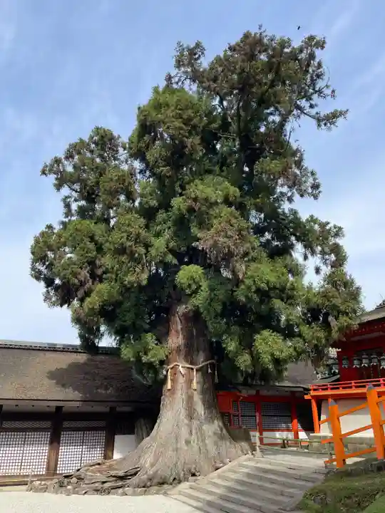 春日大社(奈良県)