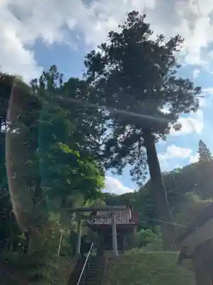 日枝神社の鳥居