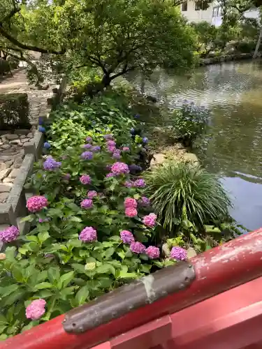 太宰府天満宮(福岡県)