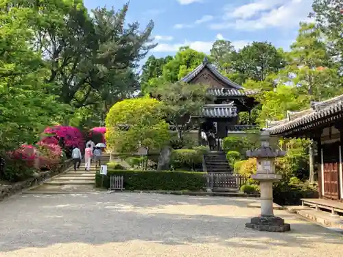 唐招提寺の庭園