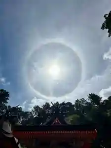 丹生都比売神社(和歌山県)(2023年07月19日(水) 17時46分28秒投稿)