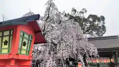 平野神社の庭園