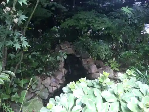 東京大神宮の庭園