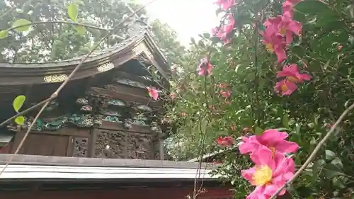 下野國一社八幡宮の本殿