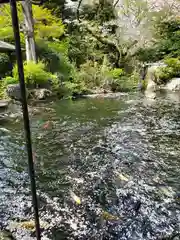 愛宕神社の庭園