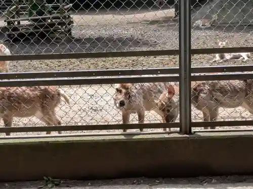 鹿島神宮(茨城県)
