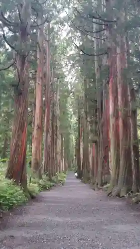 戸隠神社奥社の周辺