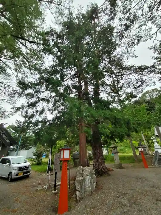 滝上神社の自然