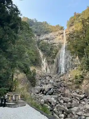 熊野那智大社の自然