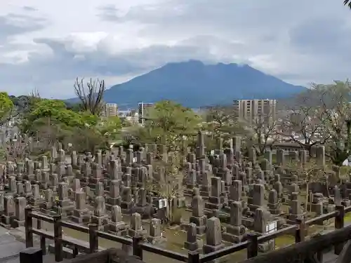 南洲神社のお墓