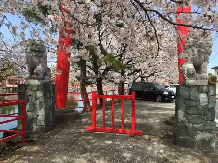 御嶽山 白龍神社の狛犬