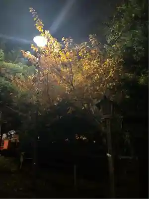 新琴似神社(北海道)