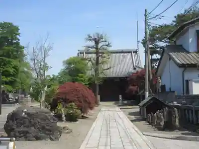 徳蔵寺(群馬県)