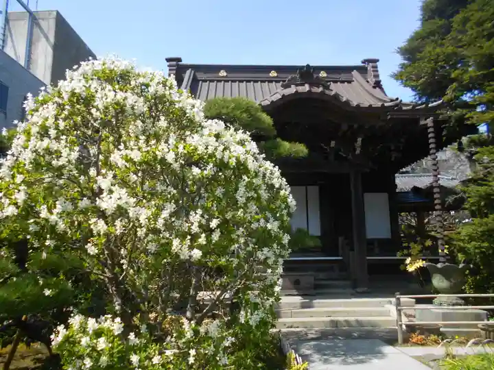 大巧寺のその他建物