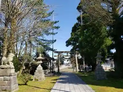 小杉神社の鳥居