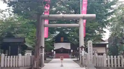 北海道神宮頓宮の鳥居