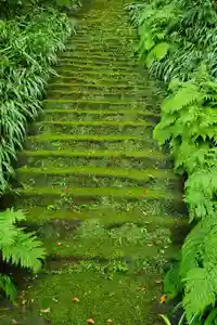 妙法寺の御朱印