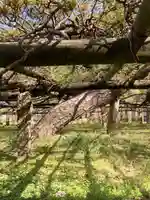 住吉神社(兵庫県)
