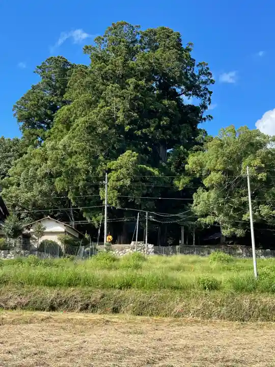 劔主神社(奈良県)