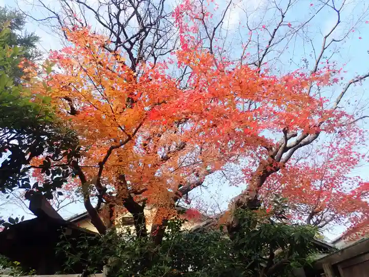 東慶寺(神奈川県)