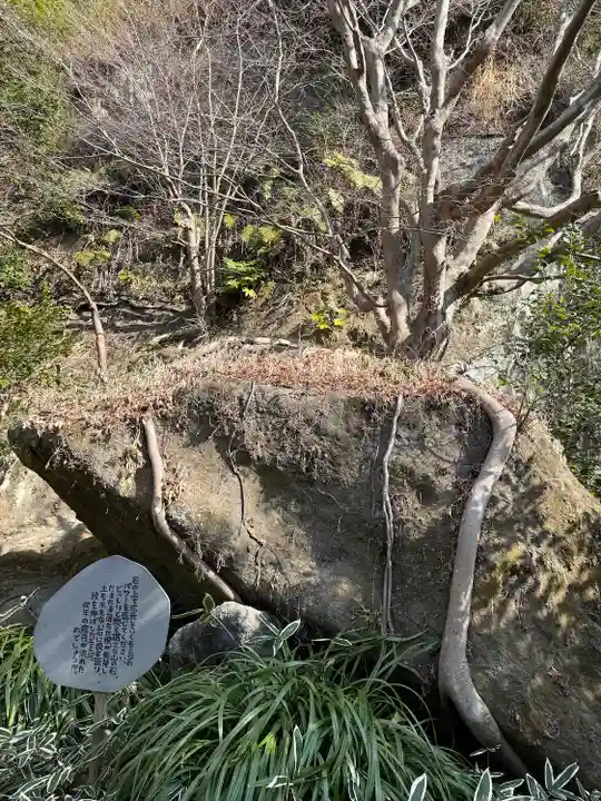 明月院(神奈川県)