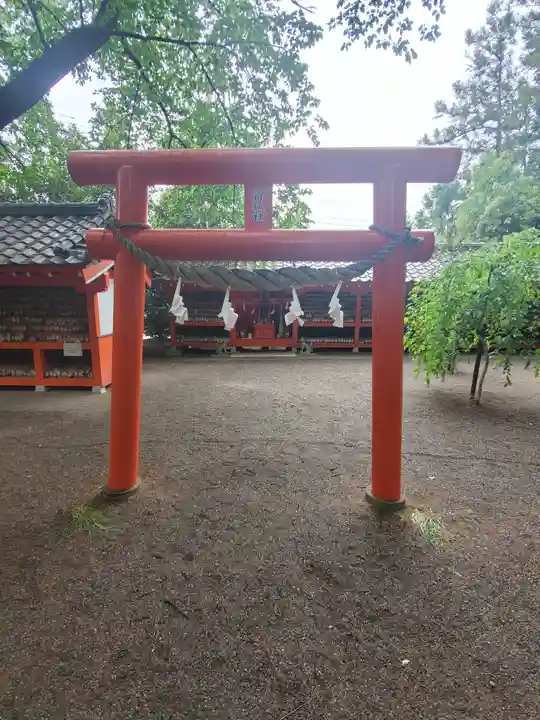 冠稲荷神社の鳥居