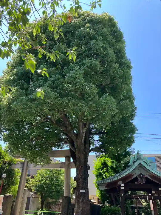 麻布氷川神社(東京都)