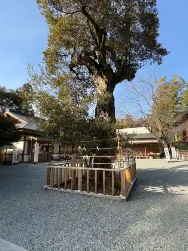 井伊谷宮(静岡県)