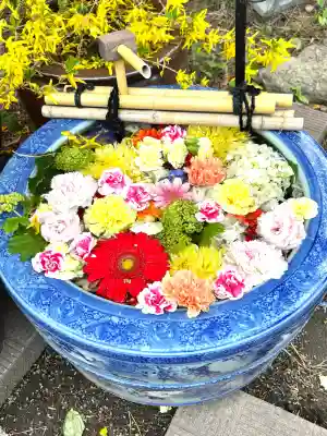 多賀神社の{uncategorized: "未分類", other: "その他", undefined: "問題あり", building: "その他建物", grave: "お墓", sacred_gate: "鳥居", guardian: "狛犬", statue: "像", buddha: "仏像", history: "歴史", nature: "自然", garden: "庭園", animal: "動物", pagoda: "塔", temizu: "手水舎", mountain_gate: "山門・神門", sanctuary: "本殿・本堂", subordinate: "末社・摂社", art: "芸術", scenery: "景色", jizo: "地蔵", ema: "絵馬", goshuin: "御朱印", omikuji: "おみくじ", items: "授与品その他", amulet: "お守り", goshuincho: "御朱印帳", eats: "食事", festival: "お祭り", votive_dance: "神楽", shichigosan: "七五三参", wedding: "結婚式", experience: "体験その他", initially: "初詣", around: "周辺", anti_infection: "感染症対策"}