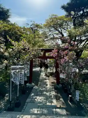 旗上弁財天社の鳥居