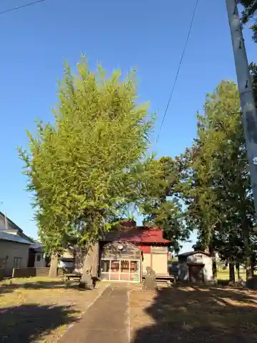 月山神社の{uncategorized: "未分類", other: "その他", undefined: "問題あり", building: "その他建物", grave: "お墓", sacred_gate: "鳥居", guardian: "狛犬", statue: "像", buddha: "仏像", history: "歴史", nature: "自然", garden: "庭園", animal: "動物", pagoda: "塔", temizu: "手水舎", mountain_gate: "山門・神門", sanctuary: "本殿・本堂", subordinate: "末社・摂社", art: "芸術", scenery: "景色", jizo: "地蔵", ema: "絵馬", goshuin: "御朱印", omikuji: "おみくじ", items: "授与品その他", amulet: "お守り", goshuincho: "御朱印帳", eats: "食事", festival: "お祭り", votive_dance: "神楽", shichigosan: "七五三参", wedding: "結婚式", experience: "体験その他", initially: "初詣", around: "周辺", anti_infection: "感染症対策"}