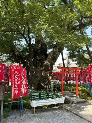秩父今宮神社(埼玉県)