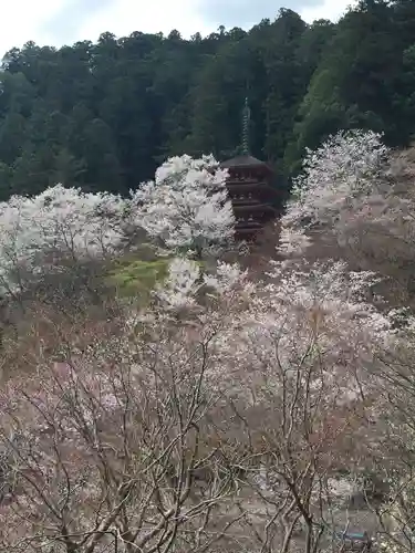 長谷寺の景色