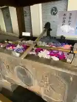 七社神社の{uncategorized: "未分類", other: "その他", undefined: "問題あり", building: "その他建物", grave: "お墓", sacred_gate: "鳥居", guardian: "狛犬", statue: "像", buddha: "仏像", history: "歴史", nature: "自然", garden: "庭園", animal: "動物", pagoda: "塔", temizu: "手水舎", mountain_gate: "山門・神門", sanctuary: "本殿・本堂", subordinate: "末社・摂社", art: "芸術", scenery: "景色", jizo: "地蔵", ema: "絵馬", goshuin: "御朱印", omikuji: "おみくじ", items: "授与品その他", amulet: "お守り", goshuincho: "御朱印帳", eats: "食事", festival: "お祭り", votive_dance: "神楽", shichigosan: "七五三参", wedding: "結婚式", experience: "体験その他", initially: "初詣", around: "周辺", anti_infection: "感染症対策"}