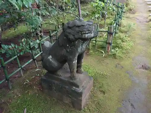 稲毛浅間神社の狛犬