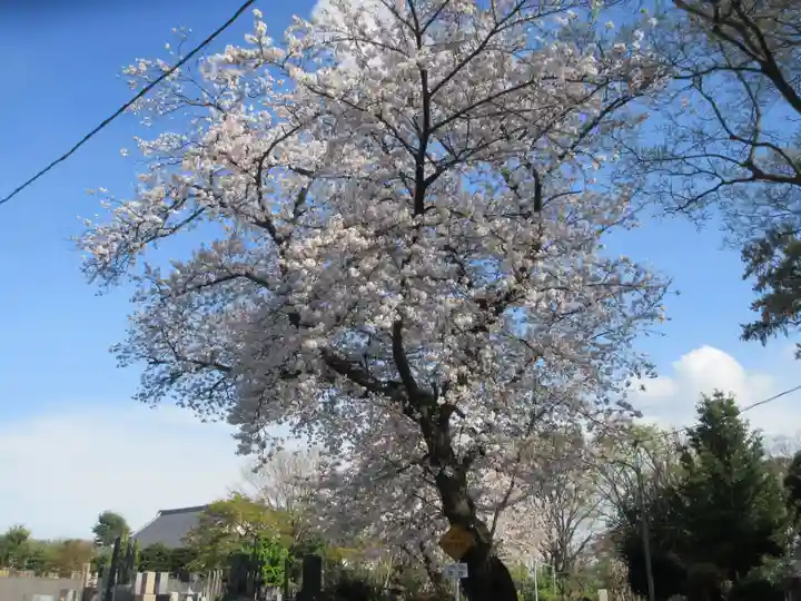 池上本門寺(東京都)