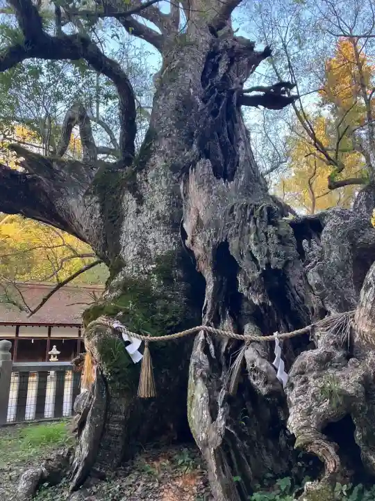 大山祇神社(愛媛県)
