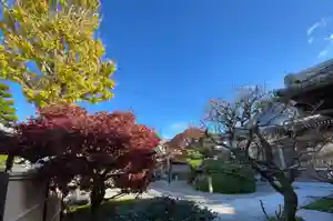 梅香寺(三重県)(2024年12月14日(土) 14時46分59秒投稿)