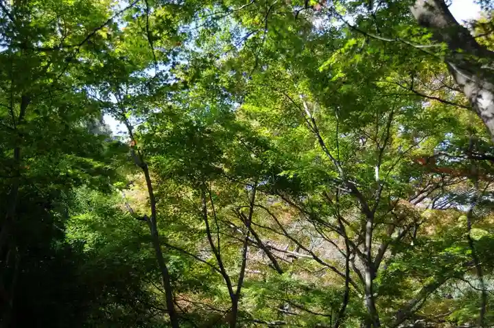 両足寺(山口県)